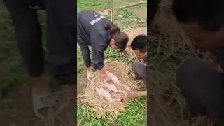 tính anh không lòng vòng #shortvideo