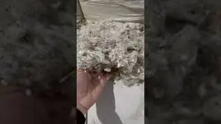 ПУХ хлопковый