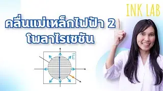 ⚡️คลื่นแม่เหล็กไฟฟ้า 2 : โพลาไรเซชัน [Physics#80]