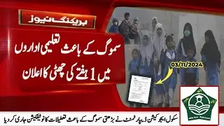 1 Week Holidays Announced On 3 Nov 2024 | Notification Issued For Public & Private Schools in Lhr