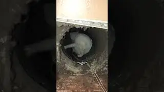 She found something incredible in her vent 😱