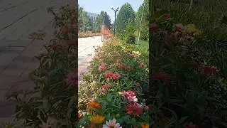 Alisher Navoiy xiyoboni #фергана