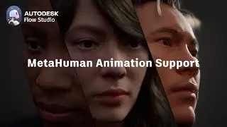 MetaHuman Animation Support | Autodesk Flow Studio