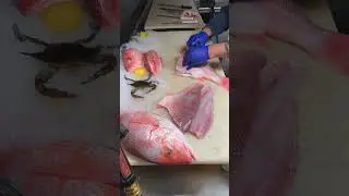 World Fastest Fish Cutter - Snapper