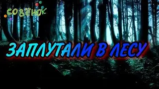 ПОТЕРЯЛИСЬ В ЛЕСУ! Серия сказок про Совёнка