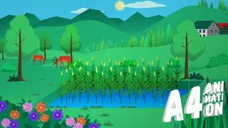 Наш дом: экология воды/ Water ecology