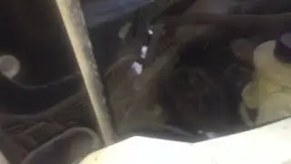 Renault Master 2.8 timing belt replacement.