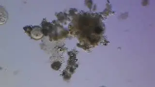 DSCN9276