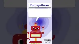 Fotosynthese🌱 Zo werkt het!