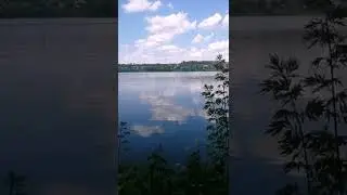 пугают моих рыб