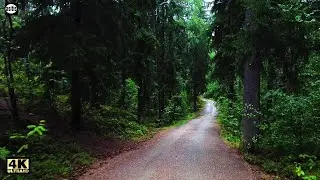 Relaxing Rain Walk in the Central Park of Helsinki, Finland (Binaural Rain Sounds Umbrella ASMR)
