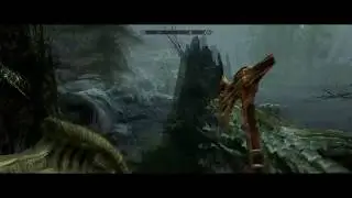 Skyrim SE 21