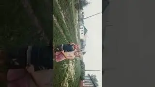20 июля 2024 г.