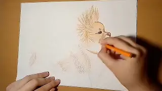 Как нарисовать чихуахуа Маргаритку
