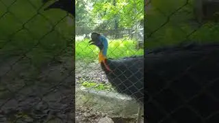 Interacting With Nature! 