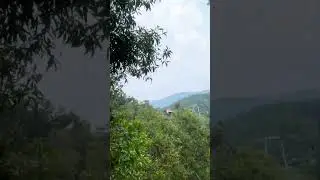 cable car in the jungle at escape penang 1 october 2023