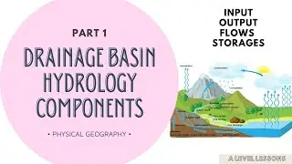 Drainage Basin Hydrology (Inputs, Flows, Storages, Output) | A Level Geography (2024)
