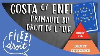 Arrêt Costa c/. Enel : La Primauté du Droit de l'Union Européenne (CJUE/CJCE, 15 juillet 1964)