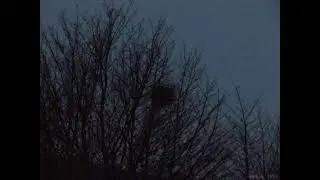 [free] old dark xxxtentacion type beat 