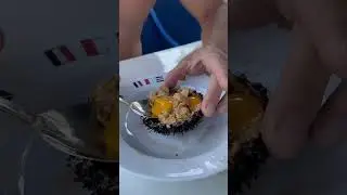 Обучение на капитана парусной яхты