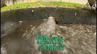 Blocked Drain 1147