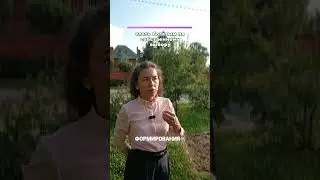 стать богатым по собственному выбору #инвестиции #капитал #деньги #зарплата #доход #золото #нефть