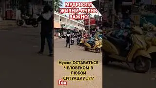 2 сентября 2024 г.