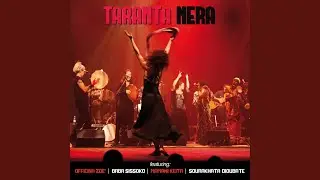 Ferma ferma (Live)