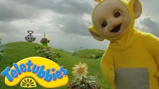 Teletubbies | Summer Walks With The Teletubbies! | Shows for Kids