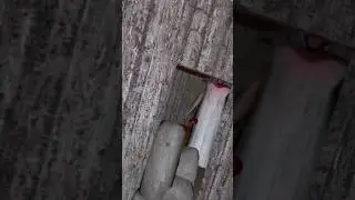 бабуля на меня злиться 