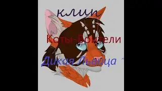 Клип Коты-Воители 