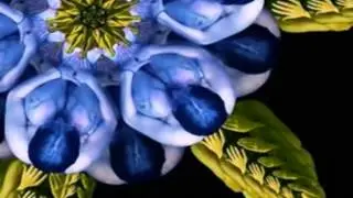 My Edited Video