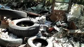 Помойка в лесу