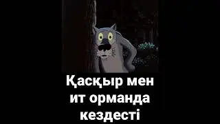 Қасқыр мен ит орманда кездесті