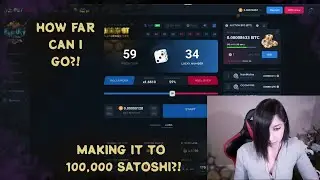 BetFury: DOUBLING MY SATOSHI AGAIN?! 100k?!