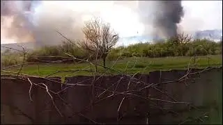 ЧП на пасеке
