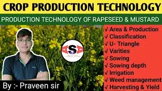 Rapeseed & Mustard Cultivation 