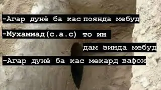 Дунё