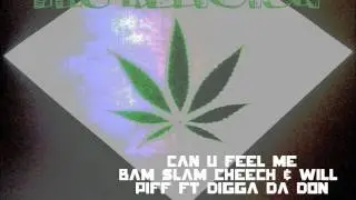 Can You Feel Me   Bam Slam Cheech & Will Piff Ft Digga Da Don