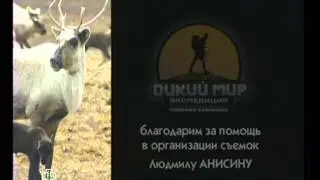 Конец эфира НТВ (16.10.2013)