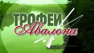 СУДАК ВЕСНОЙ