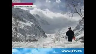 Сдают экзамены четвероногие спасатели