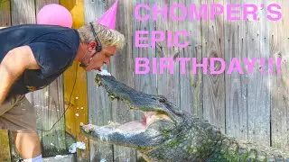 CHOMPER'S EPIC BIRTHDAY BASH