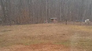 It's Snowing On The Homestead