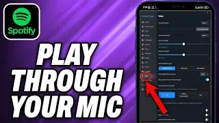 How To Play Spotify Through Your MIC (2024) - Quick Help