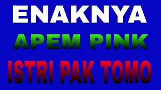 At first Pak Tomo's wife pretends // romantic short story