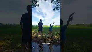 Nonton Bocil Geber Burung Di Sawah, Inget Waktu Kecil