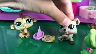 Lps Adoption Center Part 1