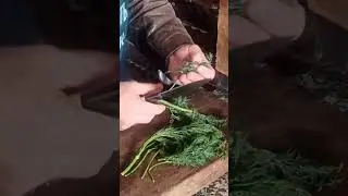 ТЫКВА В СМЕТАННОМ СОУСЕ 