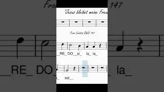 Dalla Cantata BWV 147 di Johann Sebastian Bach il celebre corale, Videotutorial per flauto dolce.